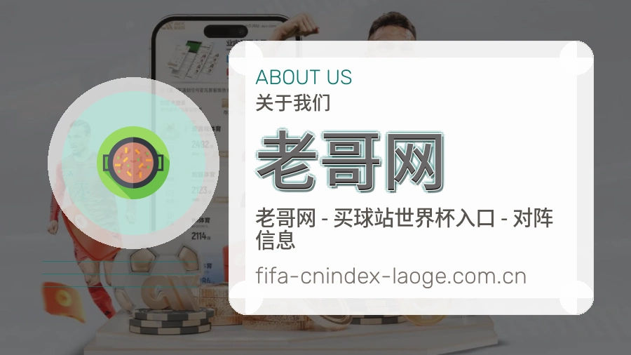 老哥网平台简介